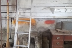 20190329_105933