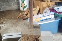 20190329_110648