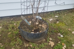 20190329_124306